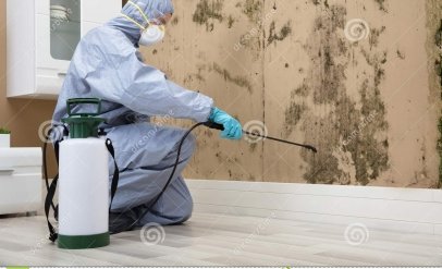 Pest Control Services