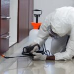 commercial termite control services 2