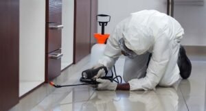 4 BHK Termite control