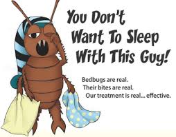 Bed Bugs Removal In Gurgaon