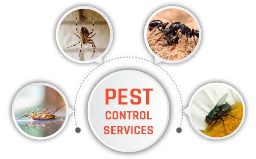 Villa 2-300Sqft Pest Control
