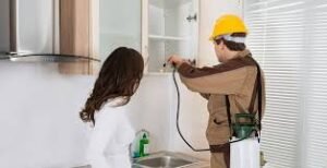 Pest Control services in Gurgaon