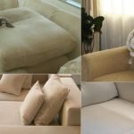 sofa cleaning services