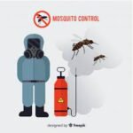 Mosquito control in Gurgaon