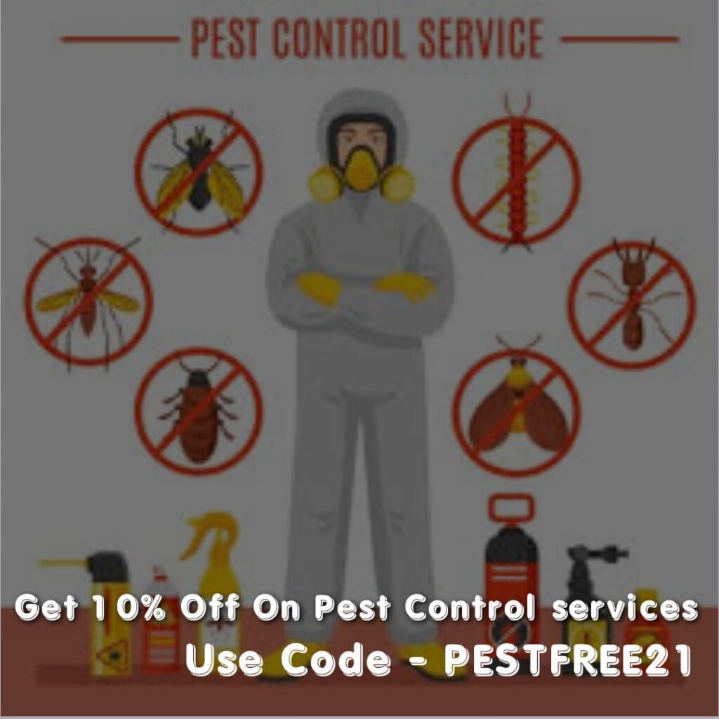 pest control services in gurgaon