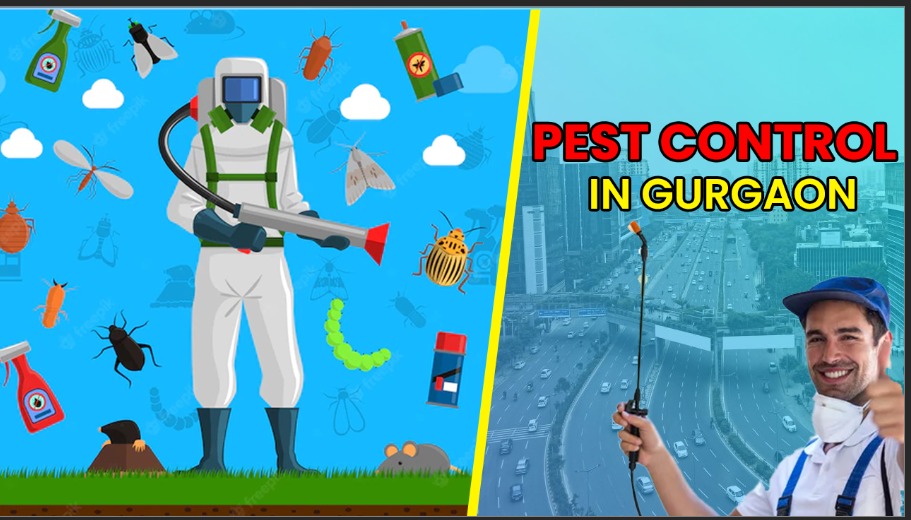 Pest control Gurgaon