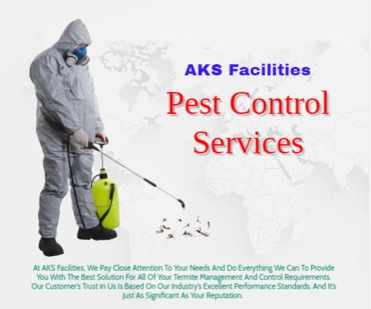 Pest control Services in Gurgaon