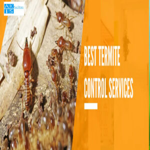 termite control service in gurgaon