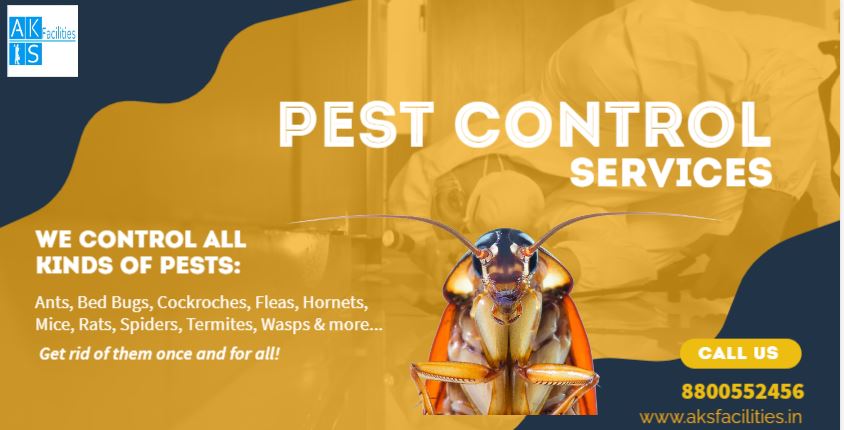 Safe & Effective Pest Control Services In Gurgaon - AKS