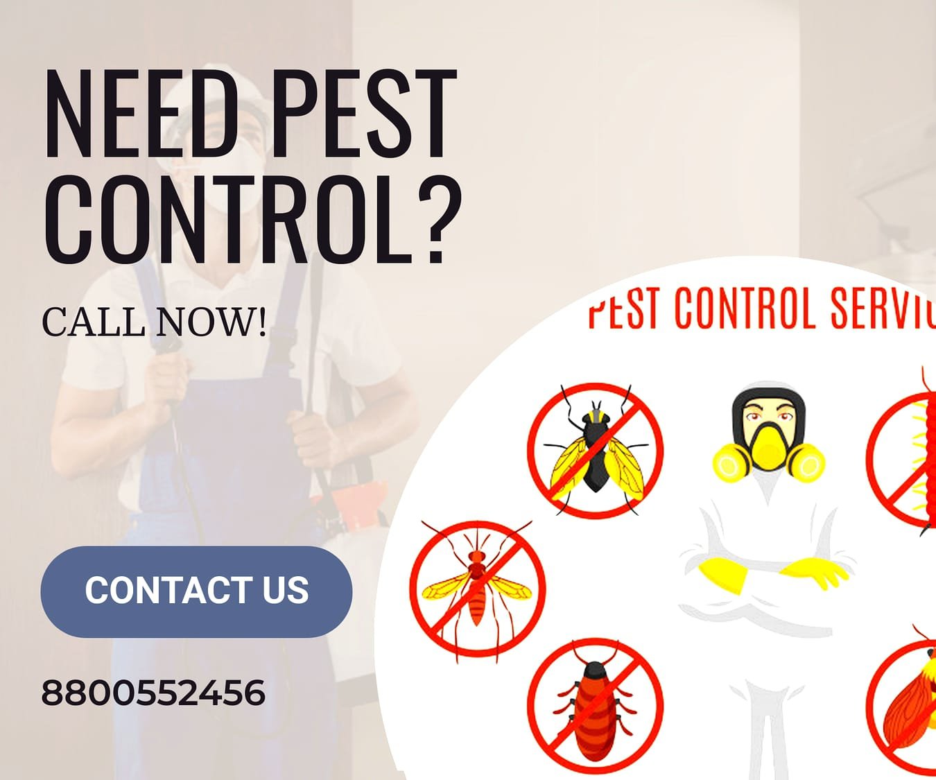 home pest control services in delhi