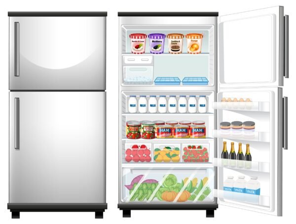 fridge cleaning Double door