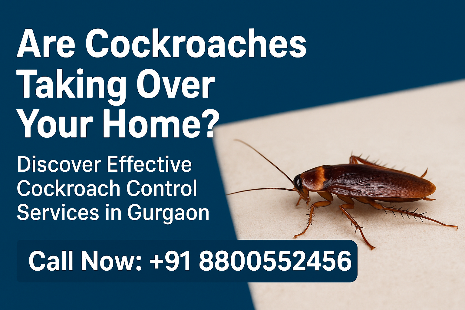 Are Cockroaches Taking Over Your Home? Discover Effective Cockroach Control Services in Gurgaon!