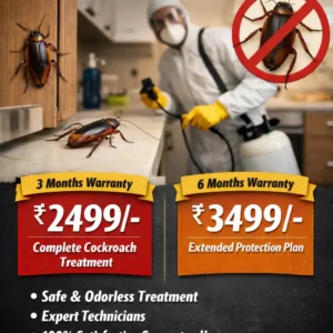 cockroach control service