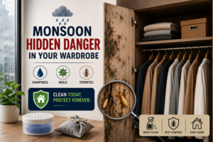 The Hidden Danger in Your Wardrobe During Gurgaon Monsoon: Dampness, Mold & Termites