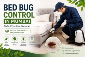 bed bug control in mumbai