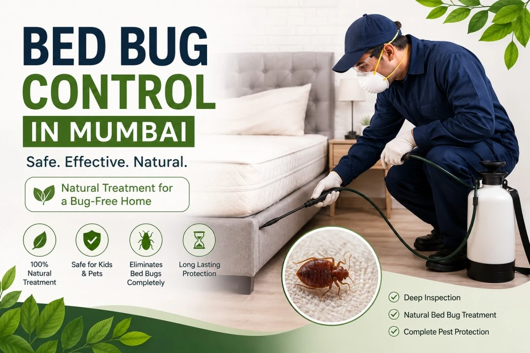 Close-up of bed bug infestation being treated by a professional in Mumbai home