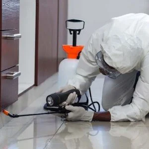 3 bhk termite control