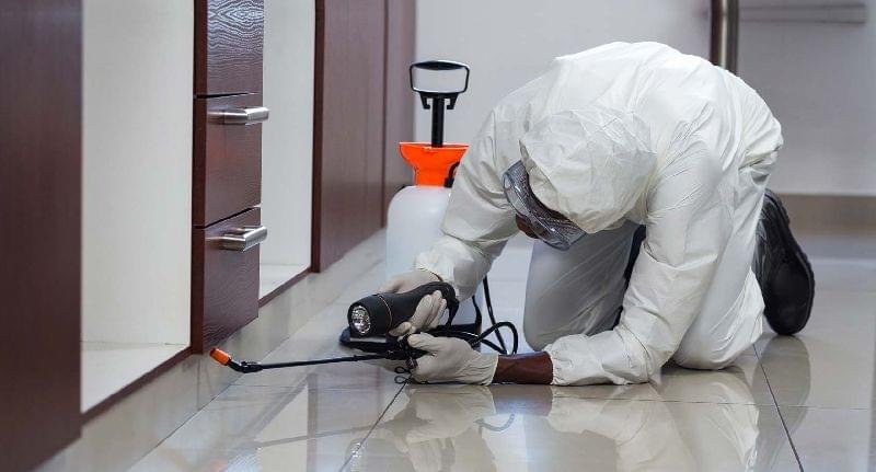 3 BHK Termite control 1 3 bhk termite control