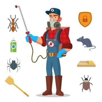 Villa 3-4BHK Pest Control 1 pest control services Manesar