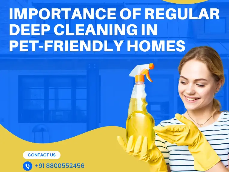 Importance of Regular Deep Cleaning in Pet-Friendly Homes