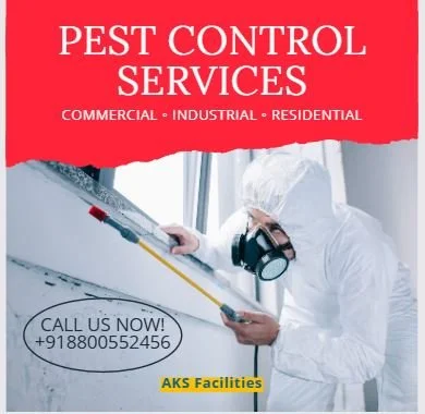 How Often Do You Really Need Pest Control?
